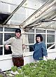 Norlender Island Sweater